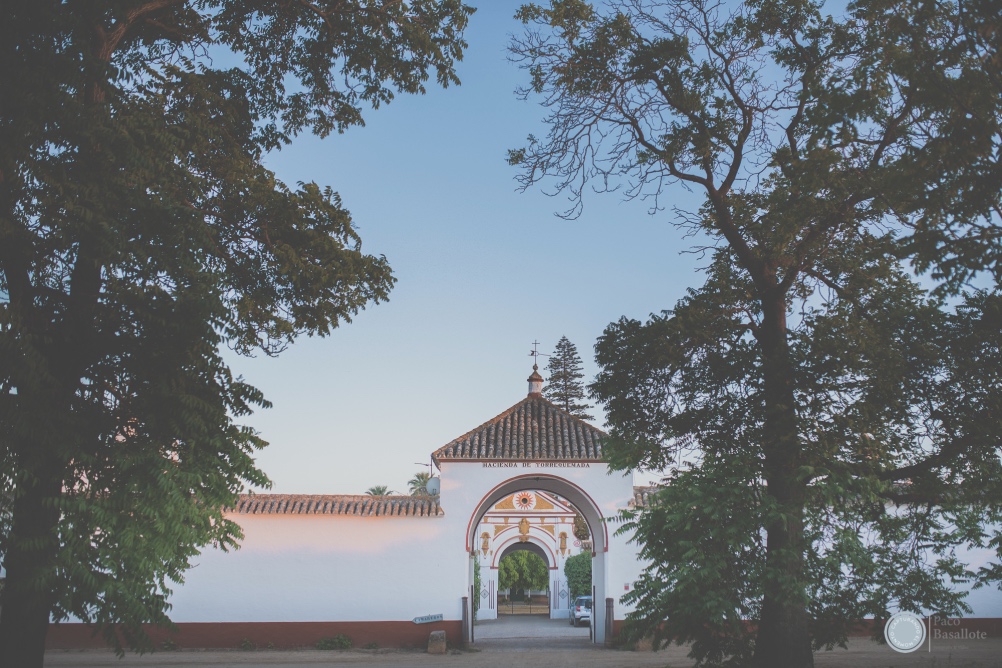 boda hacienda torrequemada