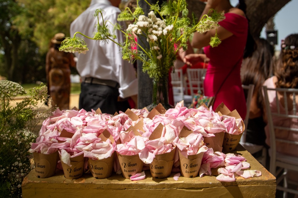 weddingplanner boda jerez